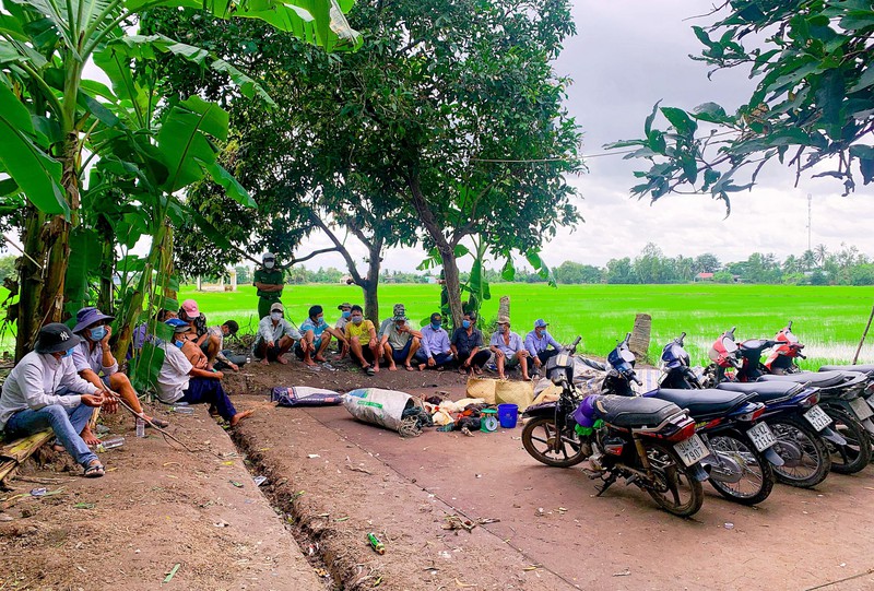 Công an Bạc Liêu bắt quả tang tụ điểm đá gà